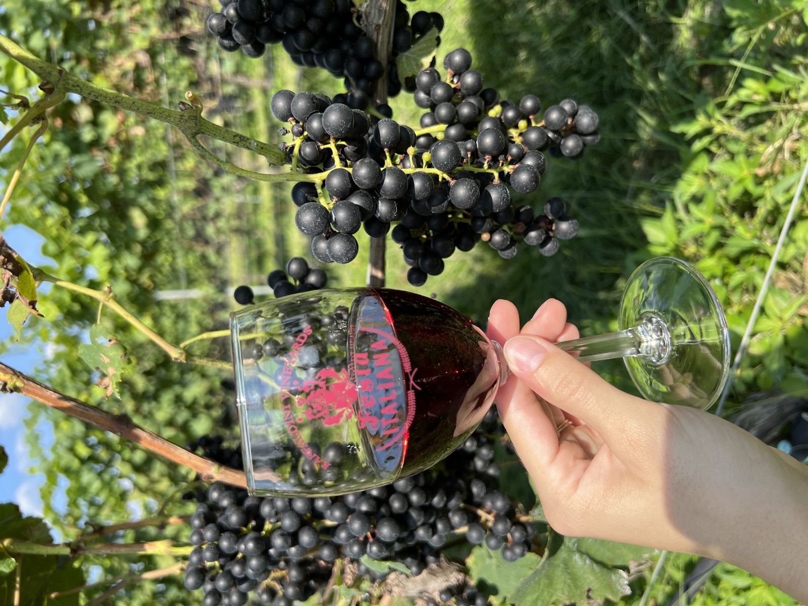 Raffaldini Vineyards Italian estate in Surry County NC